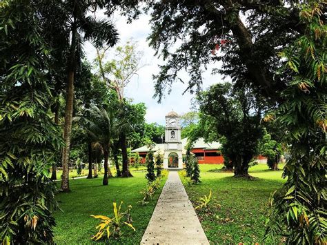 🌿 Thurston Gardens Suva Viti Levu Fiji 🇫🇯 Photo By Daniel Jason