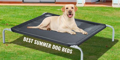 6 Best Summer Dog Beds Cooling Breathable And Elevated