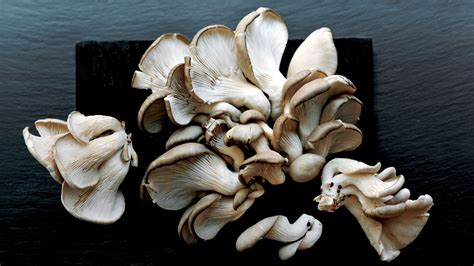 growing mushrooms at home is easier than you d think epicurious