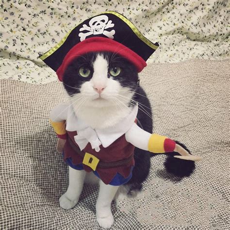 Tinghao Funny Pet Dog Cat Pirate Costume Suit Halloween Party Puppy