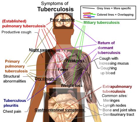 15 3F Tuberculosis Biology LibreTexts