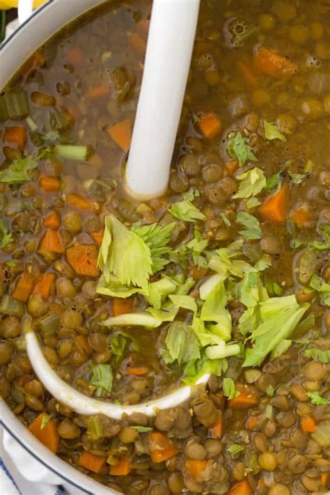 Madras Curry Lentil Soup Recipe Besto Blog