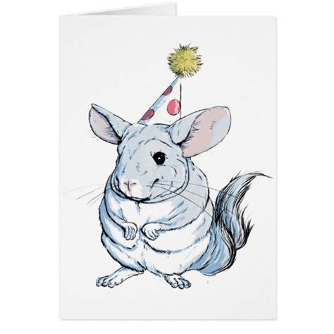 Funny Chinchilla Birthday Card Zazzle