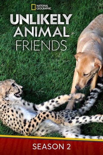 Unlikely Animal Friends Watch Episodes On Disney Fubotv Abc And