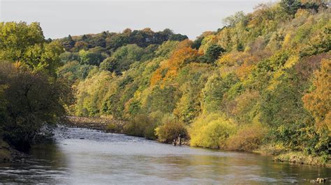 Report Reveals 86 Of English Rivers Do Not Meet Environmental
