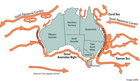 Ocean Currents In Australia Redmap