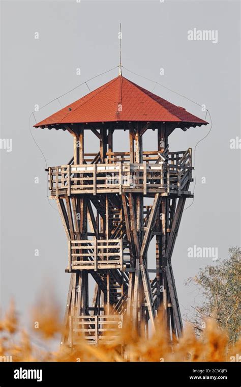 Birdwatching Tower Hi Res Stock Photography And Images Alamy