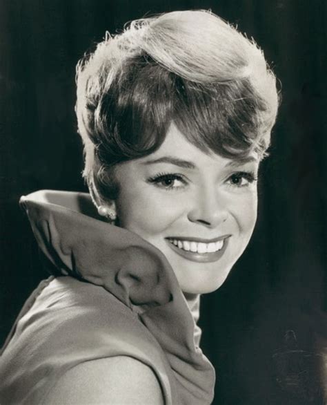 The Flaming Nose Nose Talgia Summer Its A June Lockhart Kind Of Day