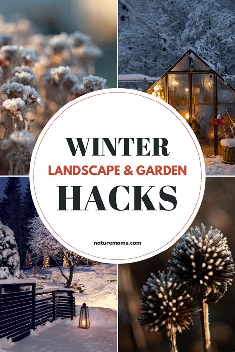 Winter Landscape Garden And Landscape Design Ideas For Seasonal Beauty