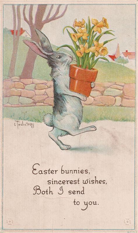 Happy Belated Easter Easter Bunny Vintage Easter Cards Easter Postcards