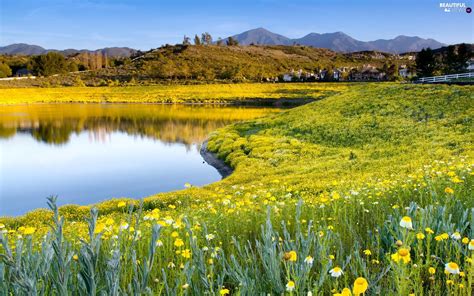 Mountains Meadow Flowers Pond Car Beautiful Views Wallpapers