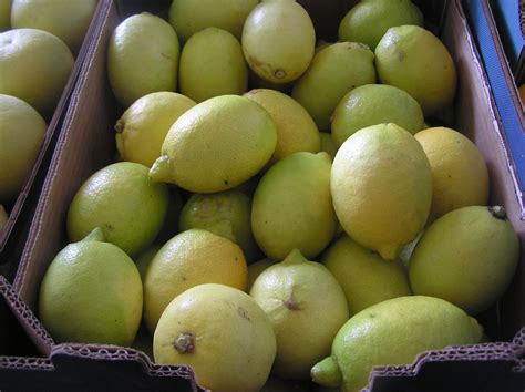 Organic Lemons Ekowarehouse