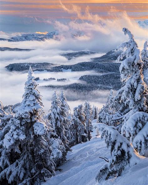 🇨🇦 Fresh Snow At New Year Mount Washington Alpine Resort Vancouver