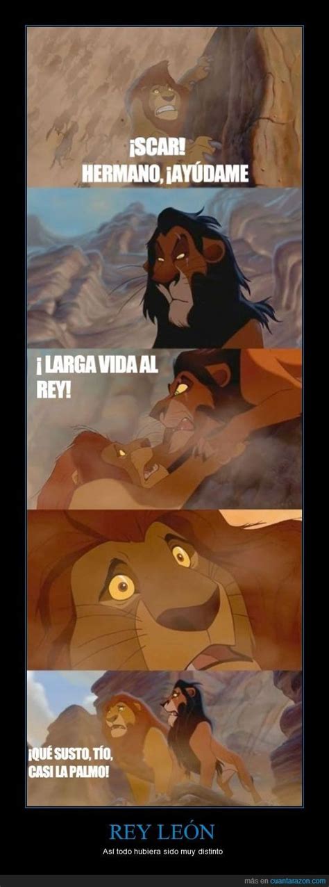 Lion King Scene In Fur Disney Funny Disney Memes Funny Disney Memes