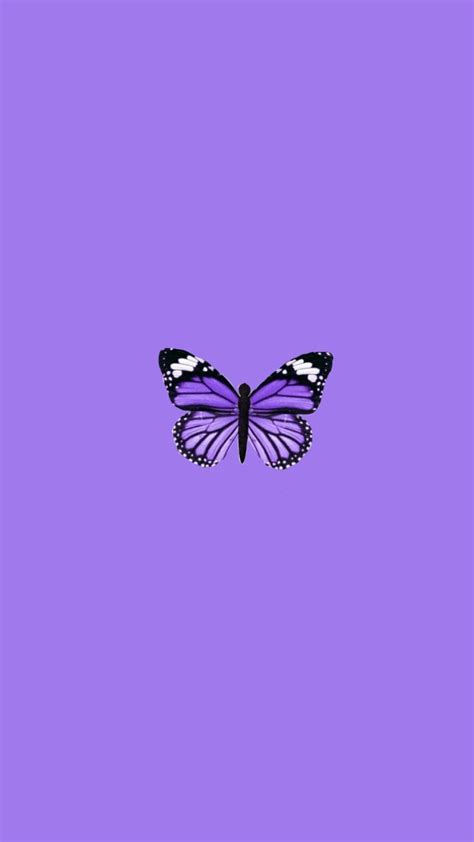 Download these aesthetic background or photos and you can use them for many purposes, such as banner, wallpaper, poster. Purple Butterfly Aesthetic Wallpapers - Wallpaper Cave