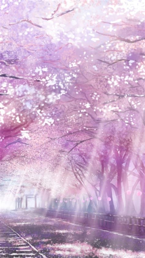 Iphone Cherry Blossom Anime Girl Wallpaper Bakaninime