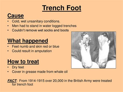 Life In The Trenches Diseases Ppt Download
