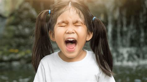 What Not To Do During Toddler Tantrums What Parents Ask