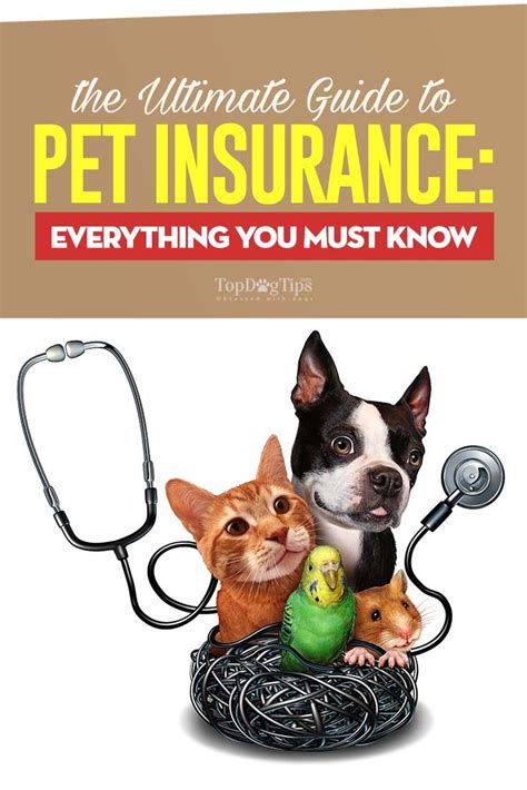 To help you select the best one of the main reasons pet owners carry insurance is to cover emergency veterinary costs in case of an accident. Pet Insurance: A Beginner's Guide | Dog Insurance | Pet ...