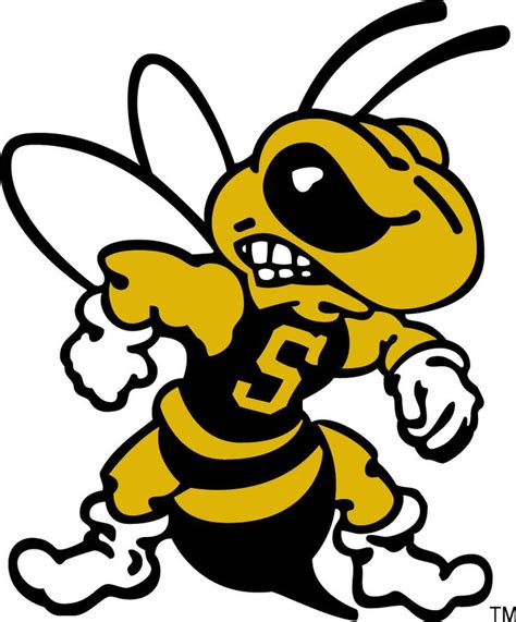 wvsu yellow jackets picked to finish 10th by mec coaches virginia state university team