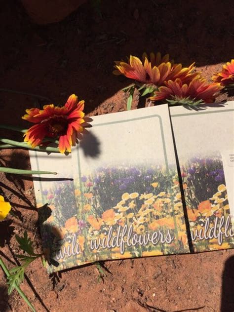 50 Wildflower Seed Packets Etsy