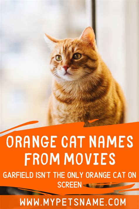 Orange cat names from movies. Orange Cat Names From Movies | Cat names, Cats, Orange cat
