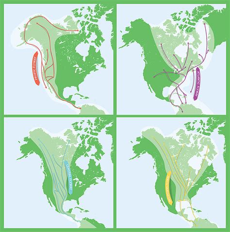 North American Bird Migration Maps