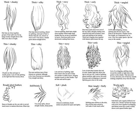 Tips For Drawing Hair And Fur Thick V Thin Wavy V Straight V Curly