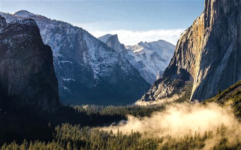 Download Wallpapers America Yosemite Valley Morning Forest American