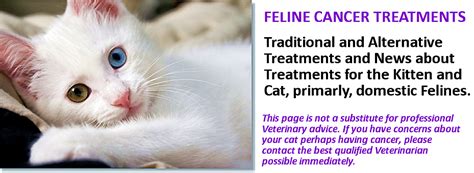 Treatments For Feline Cancer Spindle Cell Tumors Can Grow Very Rapidly