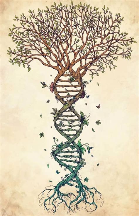 Representando El Adn Como El árbol De La Vida Tree Tattoo Tree Of