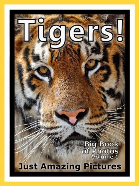 Just Tiger Photos Big Book Of Photographs And Pictures Of Tigers Vol 1