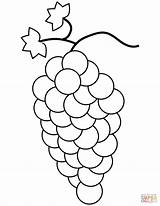 Grapes Coloring Pages Grape Fruit Printable Kids Fruits Drawing Crafts Colouring Color sketch template