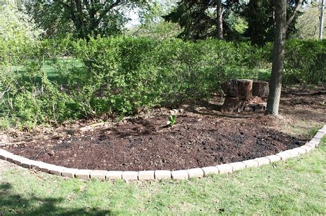 Mutiny In the Garden: Corner Shade Bed Before--->After