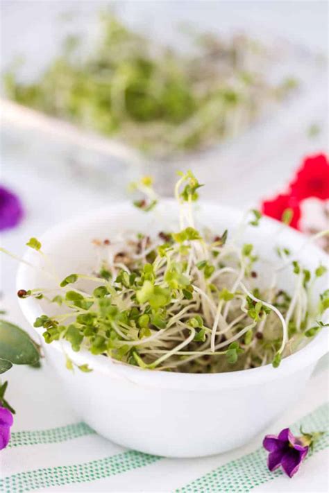 10 Delicious Ways To Eat Broccoli Sprouts Clean Eating Kitchen