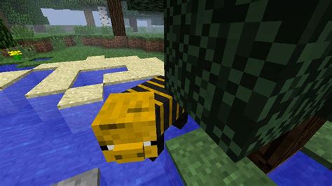 Check spelling or type a new query. Bumble Bee Pig Minecraft Texture Pack