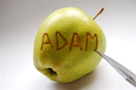 Adams Apple Перевод Telegraph