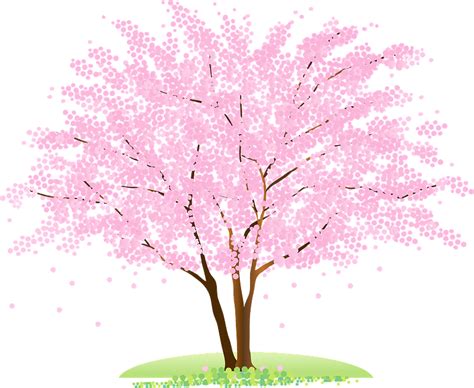 Cherry Blossoms Tree Clipart Free Download Transparent Png Creazilla