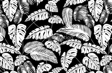 Black And White Tropical Leaves 1 Tropical Leaves Black And White