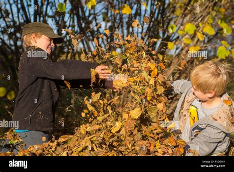 Two Children Boys Playing Throwing Autumn Leaves From Pile In The