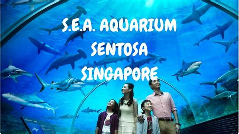 Sea Aquarium Marine Life Park Singapore Holiday Tour