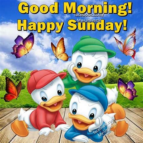 Good Morning Happy Sunday Pictures Photos And Images For Facebook Tumblr Pinterest And Twitter