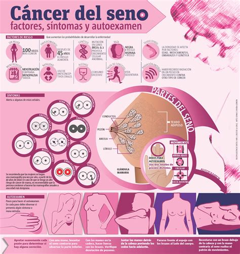 cáncer del seno factores síntomas y autoexamen invdes