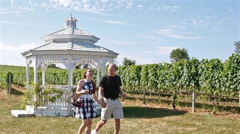 Pellegrini Vineyards Newsday