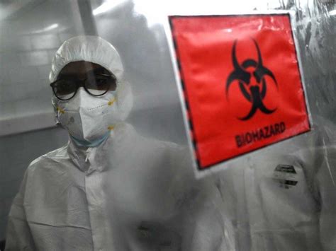 El Heraldo De Tuxpan Brasil Confirma Muerte Por Viruela Símica