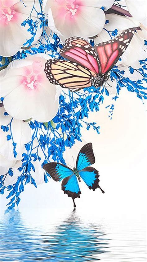 Wallpaper Butterfly Android 2021 Android Wallpapers