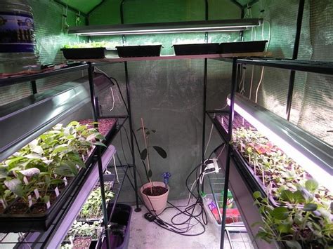 There are, however, disadvantages to running a basement grow room, including Basement Greenhouse | Greenhouse farming, Dyi greenhouse ...