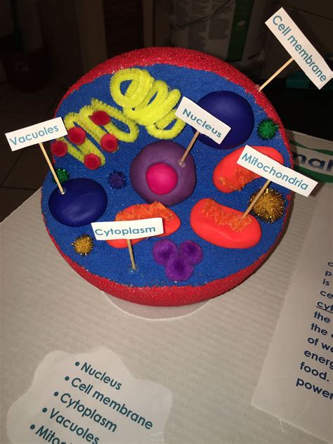 🎉 Plant Cell 5th Grade Label Plant And Animal Cells Fifth 5th Grade