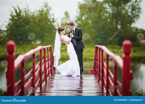 Happy Bride And Groom On A Wooden Bridge In The Park At The Wedding