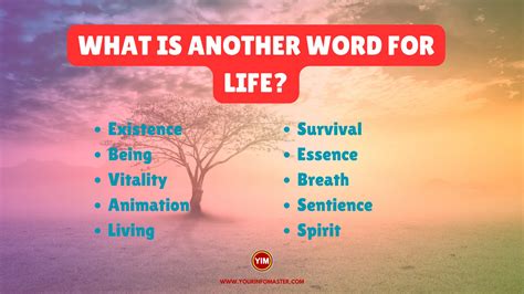 What Is Another Word For Life Life Synonyms Antonyms And Sentences